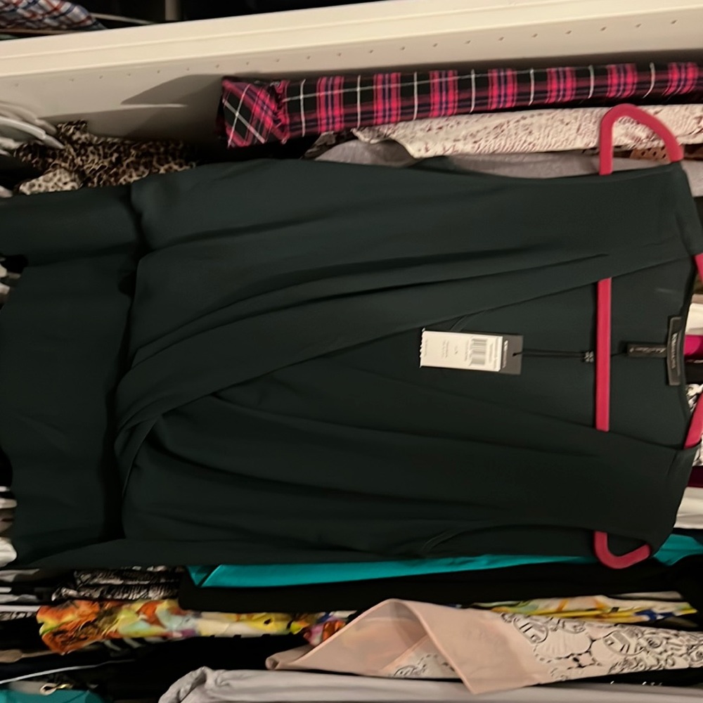 BCBG Antonella top in Alpine size M